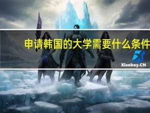 申请韩国的大学需要什么条件