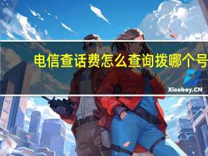 电信查话费怎么查询拨哪个号（电信查话费怎么查）
