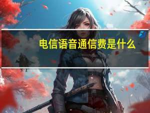 电信语音通信费是什么