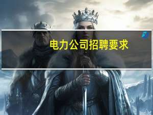 电力公司招聘要求