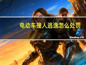 电动车撞人逃逸怎么处罚
