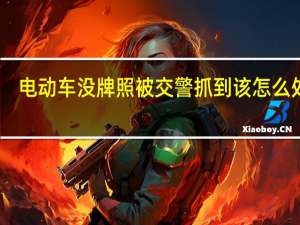 电动车没牌照被交警抓到该怎么处理