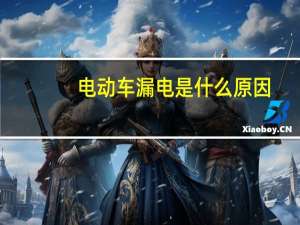 电动车漏电是什么原因