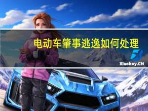 电动车肇事逃逸如何处理