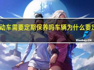 电动车需要定期保养吗 车辆为什么要定期保养
