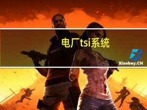 电厂tsi系统（si系统）