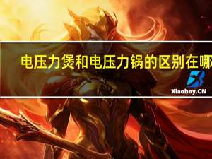 电压力煲和电压力锅的区别在哪里（奔腾电压力煲简介）
