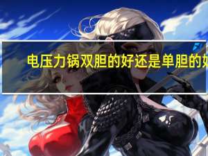 电压力锅双胆的好还是单胆的好