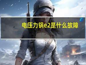电压力锅e2是什么故障