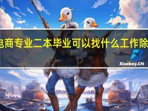 电商专业二本毕业可以找什么工作 除了客服