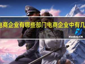 电商企业有哪些部门 电商企业中有几个部门