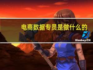 电商数据专员是做什么的