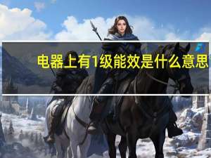电器上有1级能效是什么意思