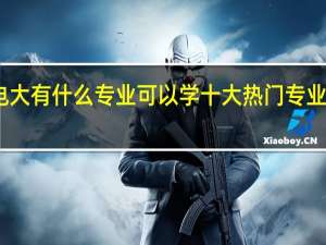 电大有什么专业可以学十大热门专业有哪些