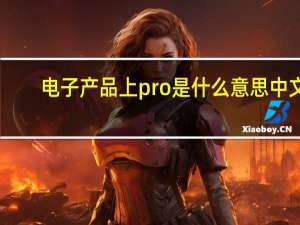 电子产品上pro是什么意思中文（亚马逊pro是什么意思）