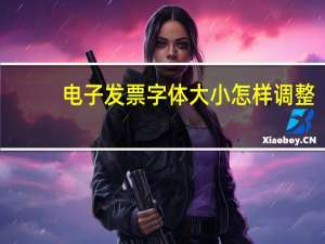 电子发票字体大小怎样调整
