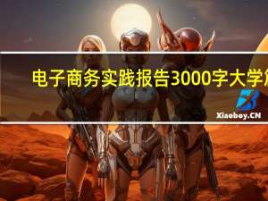 电子商务实践报告3000字大学篇（电子商务实践报告）