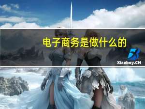 电子商务是做什么的（什么叫电子商务）