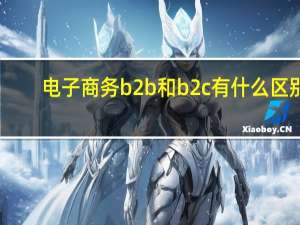 电子商务b2b和b2c有什么区别