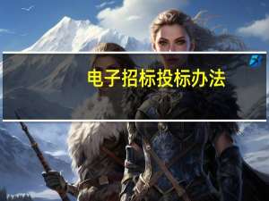电子招标投标办法