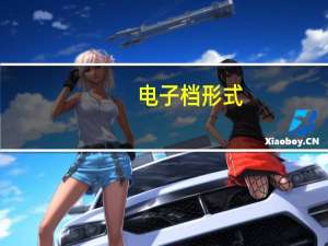 电子档形式