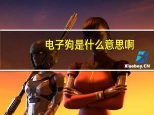电子狗是什么意思啊（电子狗是什么东西）
