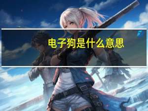 电子狗是什么意思