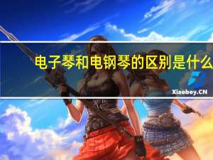 电子琴和电钢琴的区别是什么