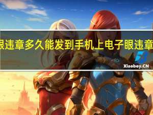 电子眼违章多久能发到手机上 电子眼违章多久能查到
