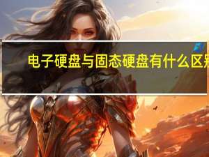 电子硬盘与固态硬盘有什么区别（电子硬盘）