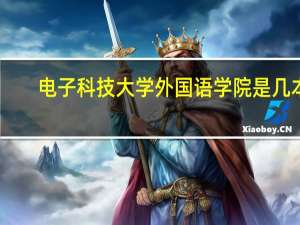 电子科技大学外国语学院是几本