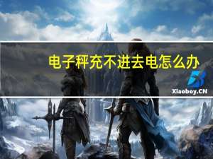 电子秤充不进去电怎么办