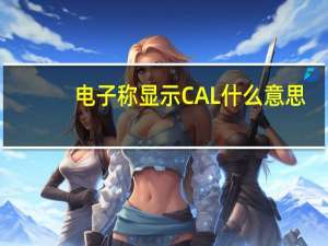 电子称显示CAL什么意思