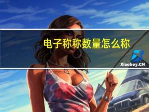 电子称称数量怎么称