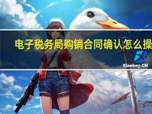 电子税务局购销合同确认怎么操作