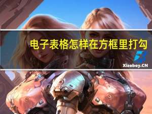 电子表格怎样在方框里打勾（电子表格中方框打勾）