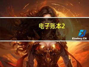 电子账本 2.0 简体中文绿色免费版（电子账本 2.0 简体中文绿色免费版功能简介）