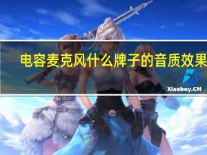 电容麦克风什么牌子的音质效果好（电容麦克风什么牌子好）