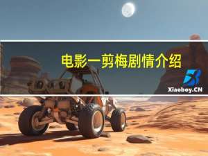 电影一剪梅剧情介绍（电影一剪梅剧情介绍是什么）