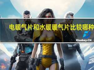 电暖气片和水暖暖气片比较哪种好