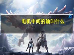 电机中间的轴叫什么
