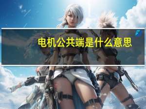 电机公共端是什么意思