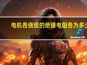 电机各绕组的绝缘电阻各为多少