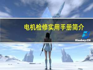 电机检修实用手册简介