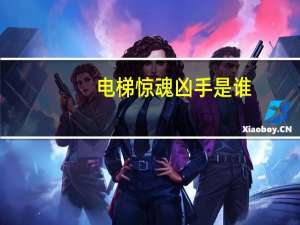 电梯惊魂凶手是谁