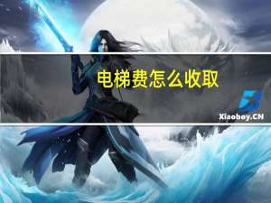 电梯费怎么收取