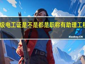 电气助理工程师证和中级电工证是不是都是职称有助理工程师了再要中级电工证有用没，有知道的告诉一下谢