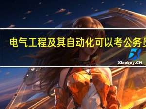 电气工程及其自动化可以考公务员吗