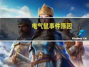 电气鼠事件原因（电气鼠事件）