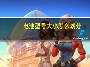 电池型号大小怎么划分
